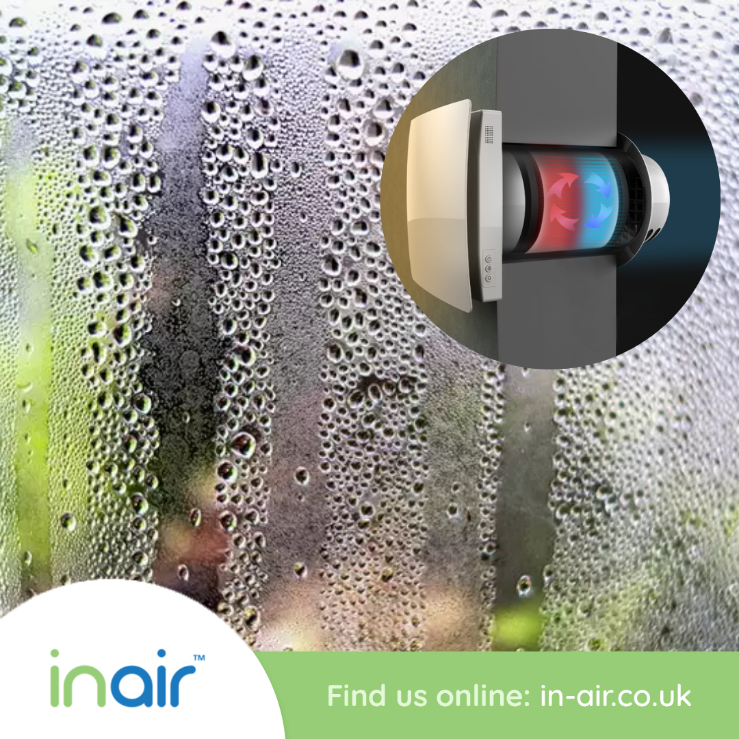 The Connection Between Moisture and Mould
