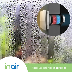 The Connection Between Moisture and Mould